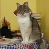 Отзыв от Прасковья Глебова